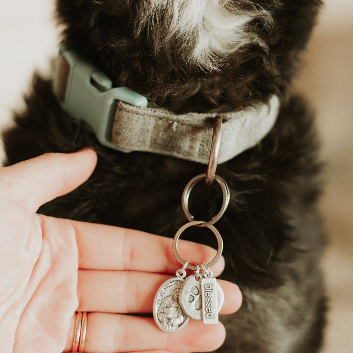 Saints Francis and Anthony Pet Blessing Tag: Silver Large