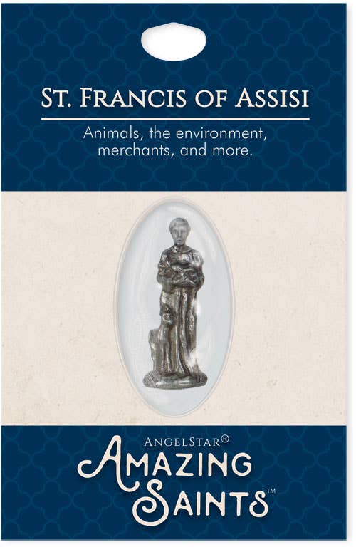 St. Francis - Amazing Saints